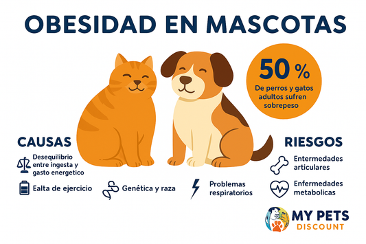 Obesidad en mascotas: causas, riesgos y soluciones para perros y gatos