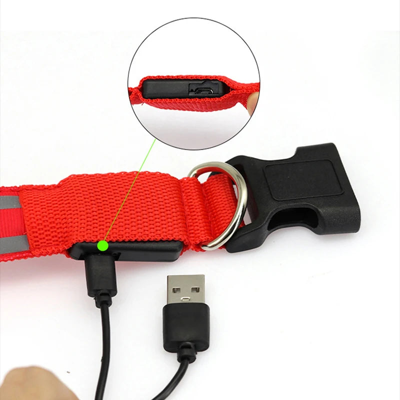 Collar LED Reflectante para Mascotas – Seguridad Nocturna Garantizada