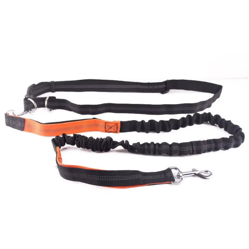 🏃♂️🐕 Correa Manos Libres para Perros – Ideal para Pasear, Correr o Hacer Senderismo