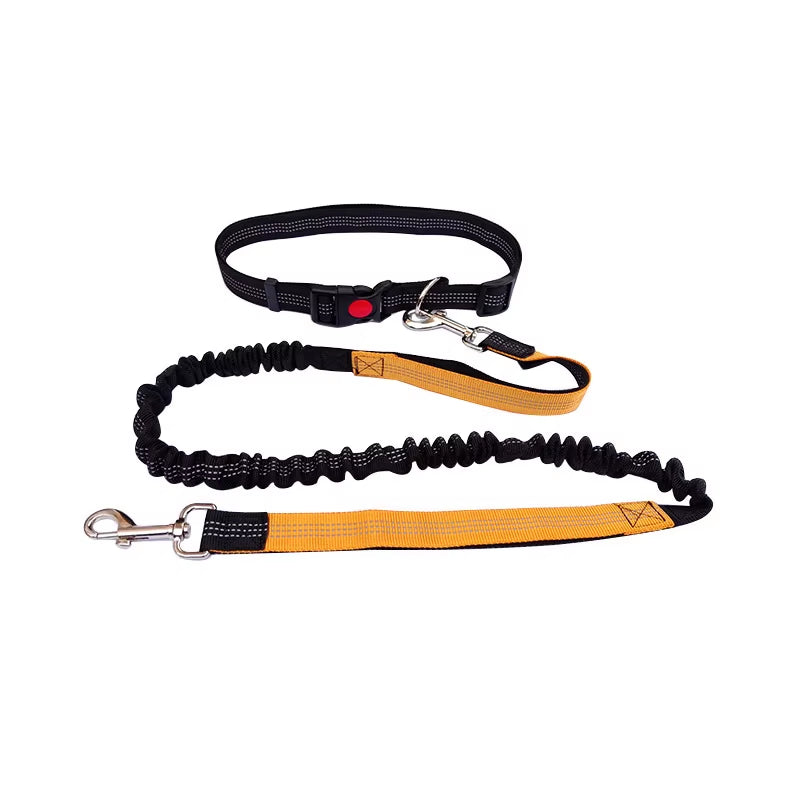 🏃♂️🐕 Correa Manos Libres para Perros – Ideal para Pasear, Correr o Hacer Senderismo