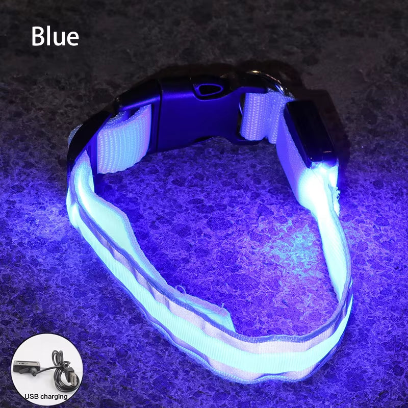 Collar LED Reflectante para Mascotas – Seguridad Nocturna Garantizada
