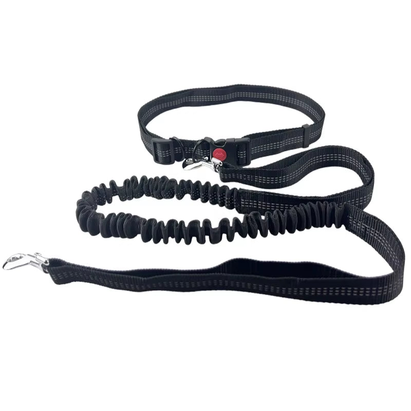 🏃♂️🐕 Correa Manos Libres para Perros – Ideal para Pasear, Correr o Hacer Senderismo