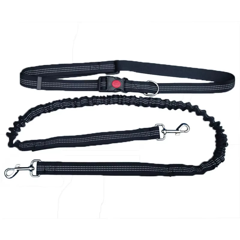 🏃♂️🐕 Correa Manos Libres para Perros – Ideal para Pasear, Correr o Hacer Senderismo