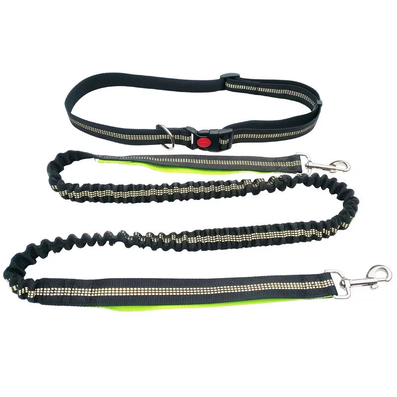 🏃♂️🐕 Correa Manos Libres para Perros – Ideal para Pasear, Correr o Hacer Senderismo