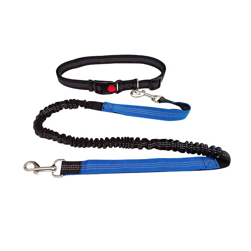 🏃♂️🐕 Correa Manos Libres para Perros – Ideal para Pasear, Correr o Hacer Senderismo