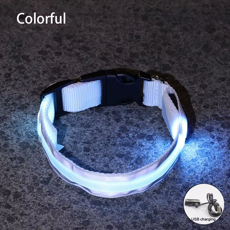 Collar LED Reflectante para Mascotas – Seguridad Nocturna Garantizada