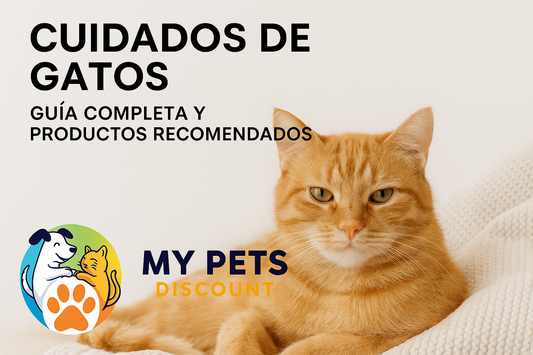 Cuidados de Gatos: Guía Completa y Productos Recomendados