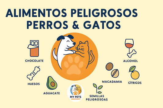 Alimentos peligrosos para perros y gatos | Lista completa de los que nunca deben comer