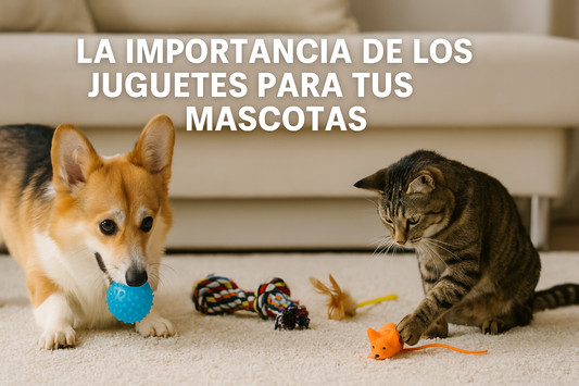 ¿Por qué los juguetes son esenciales para la salud y felicidad de tu mascota?