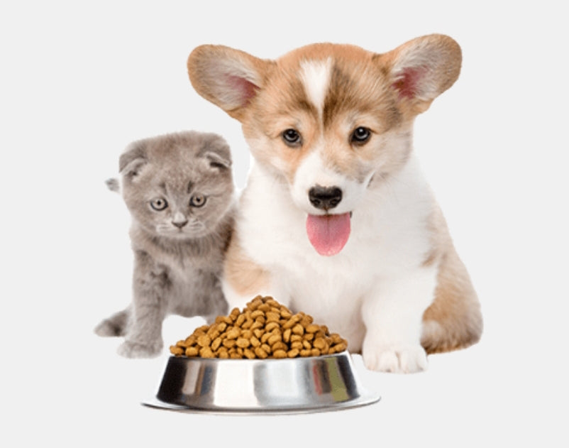 Alimentación de Mascotas