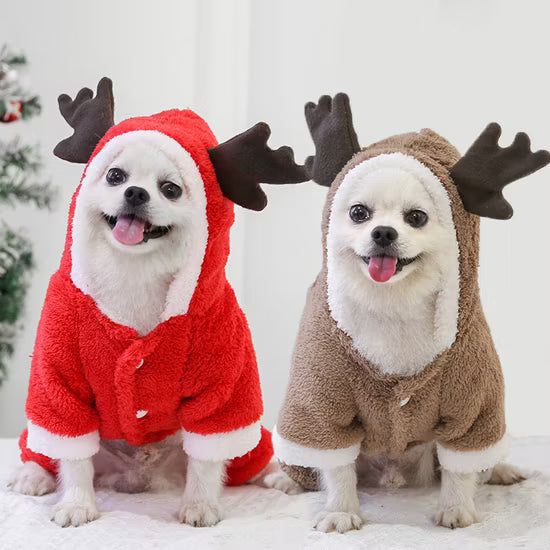 Ropa para Mascotas