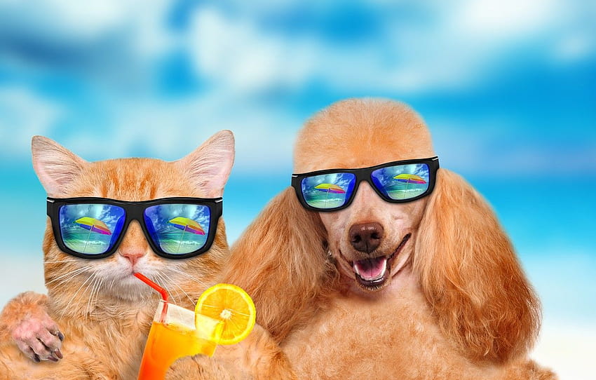 Verano