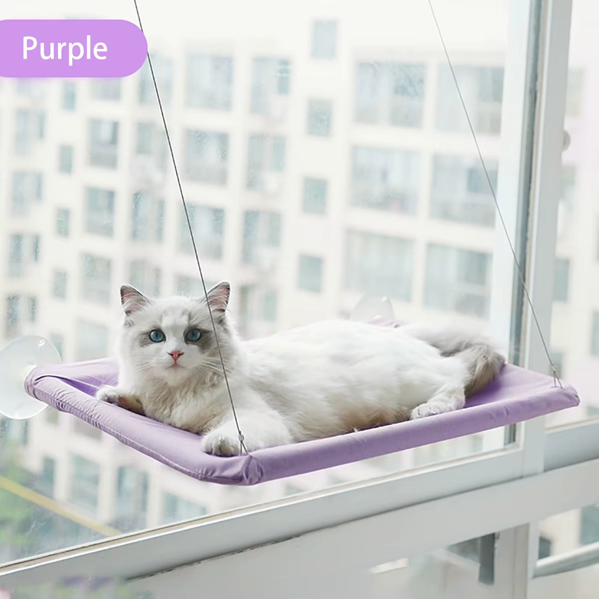 Cama de Ventana para Gatos – Hamaca con Ventosas Fuertes 20 kg