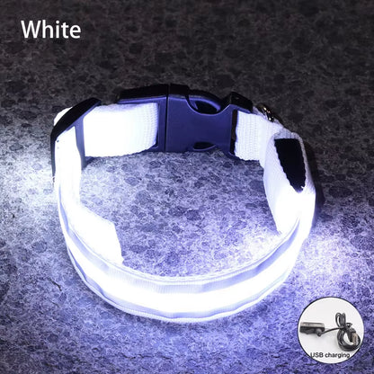 Collar LED Reflectante para Mascotas – Seguridad Nocturna Garantizada