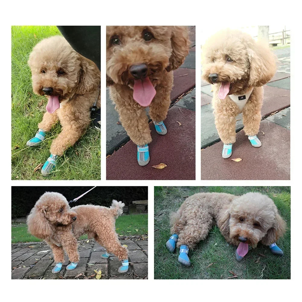 Botas Antideslizantes para Perros – Protección y Calidez para sus Patitas