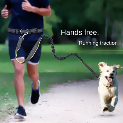 🏃‍♂️🐕 Correa Manos Libres para Perros – Ideal para Pasear, Correr o Hacer Senderismo