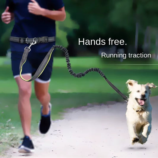 🏃‍♂️🐕 Correa Manos Libres para Perros – Ideal para Pasear, Correr o Hacer Senderismo