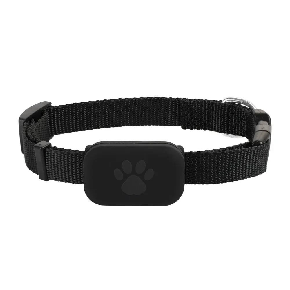 Collar GPS para Mascotas sin Carga ni Cuotas – Rastreador Inteligente para Gatos y Perros  para Apple