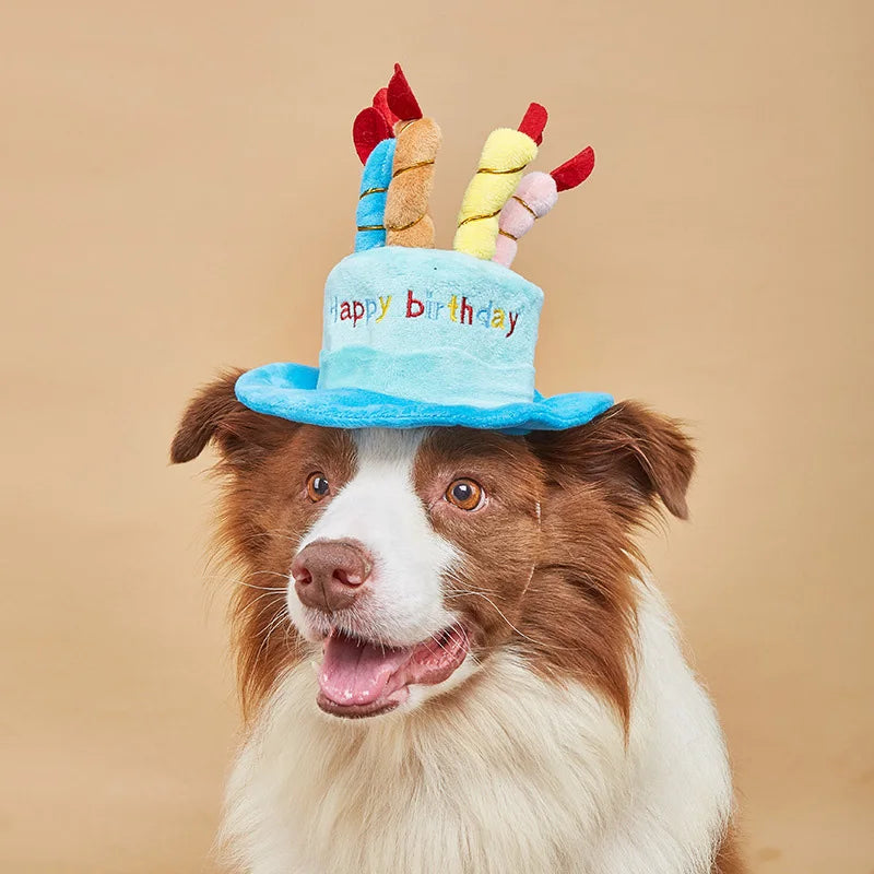 Sombrero de Cumpleaños para Perros y Gatos – Ajustable y Divertido