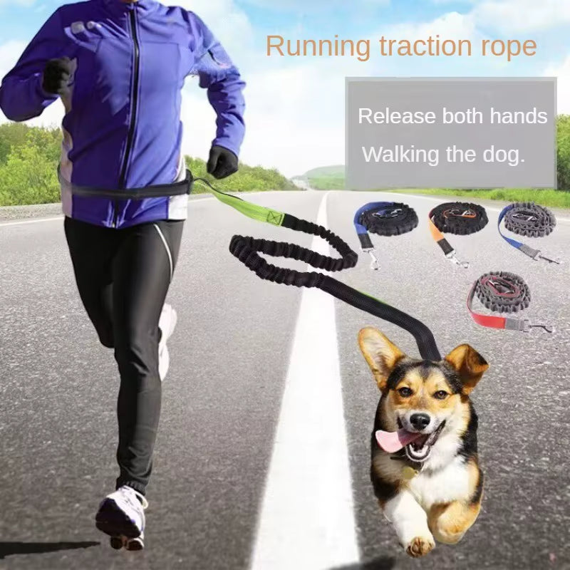 🏃‍♂️🐕 Correa Manos Libres para Perros – Ideal para Pasear, Correr o Hacer Senderismo
