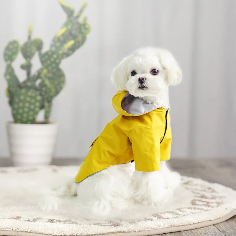 Chubasquero Impermeable para Perros – Con Capucha, Ligero y para Todas las Estaciones | Ropa para Mascotas al Aire Libre