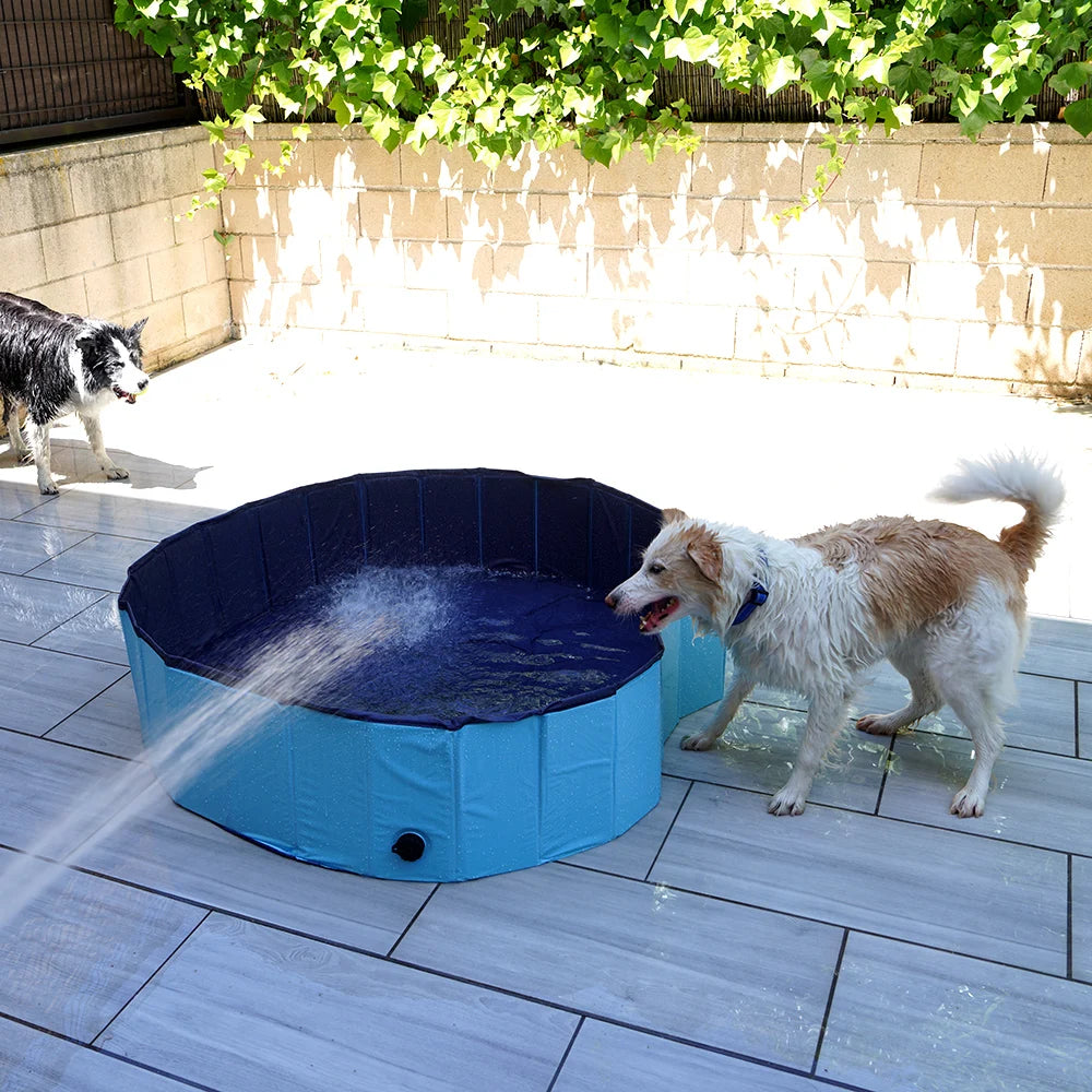 Piscina para Perros y Gatos Plegable – Antideslizante, Portátil y Resistente para Interior y Exterior