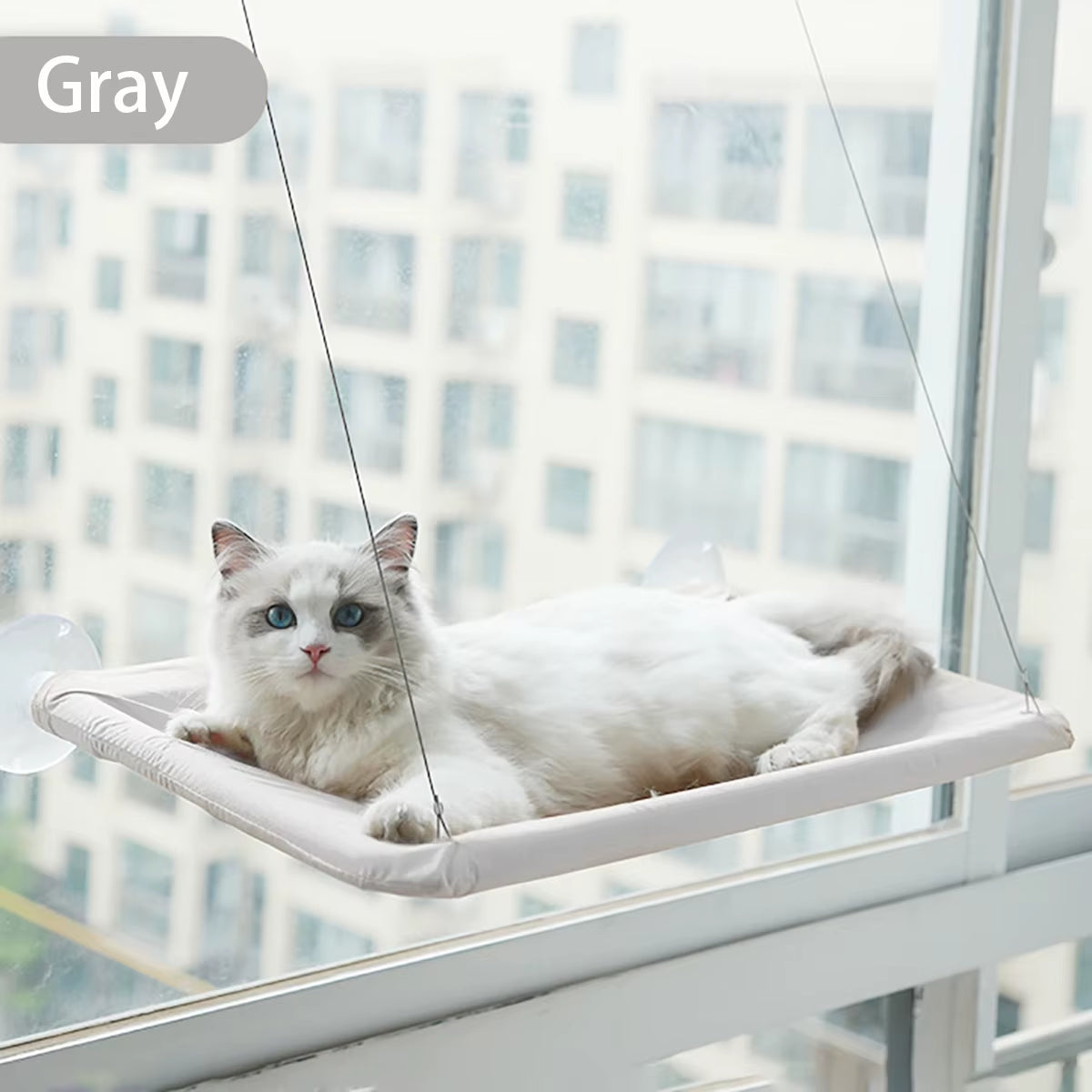 Cama de Ventana para Gatos – Hamaca con Ventosas Fuertes 20 kg
