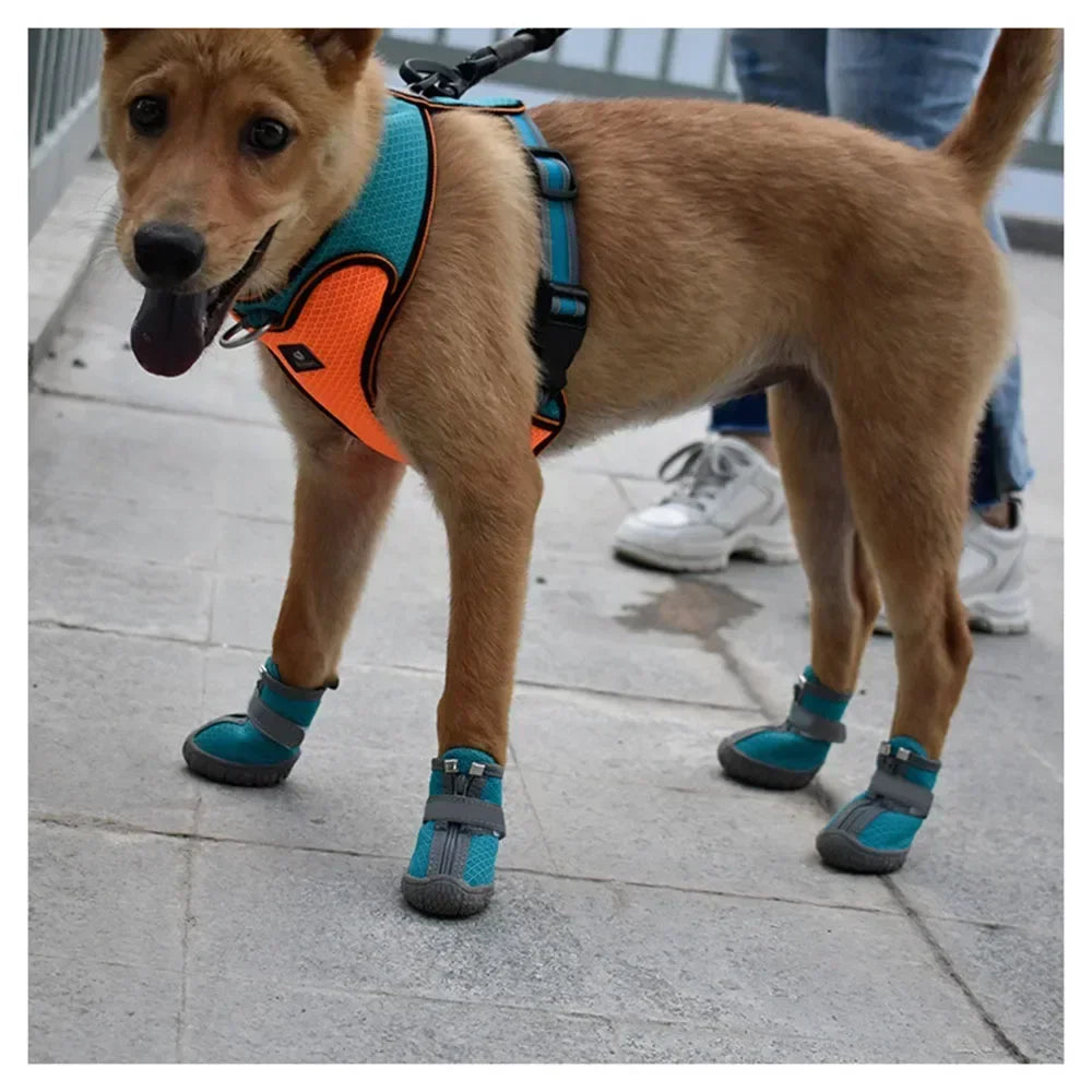 Botas Antideslizantes para Perros – Protección y Calidez para sus Patitas