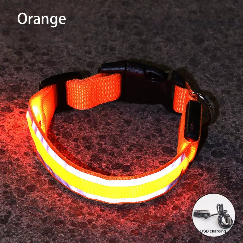 Collar LED Reflectante para Mascotas – Seguridad Nocturna Garantizada