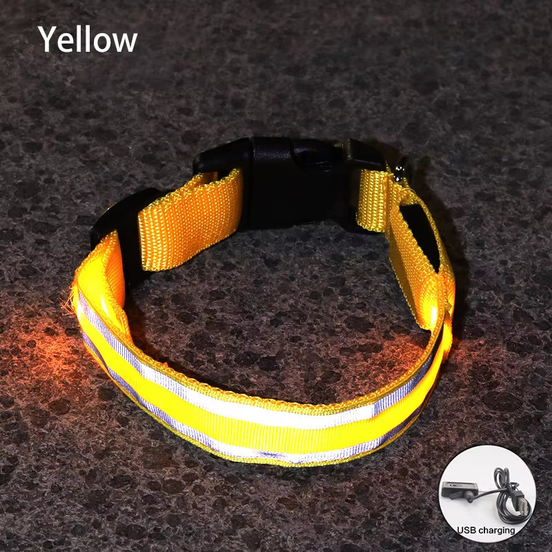 Collar LED Reflectante para Mascotas – Seguridad Nocturna Garantizada