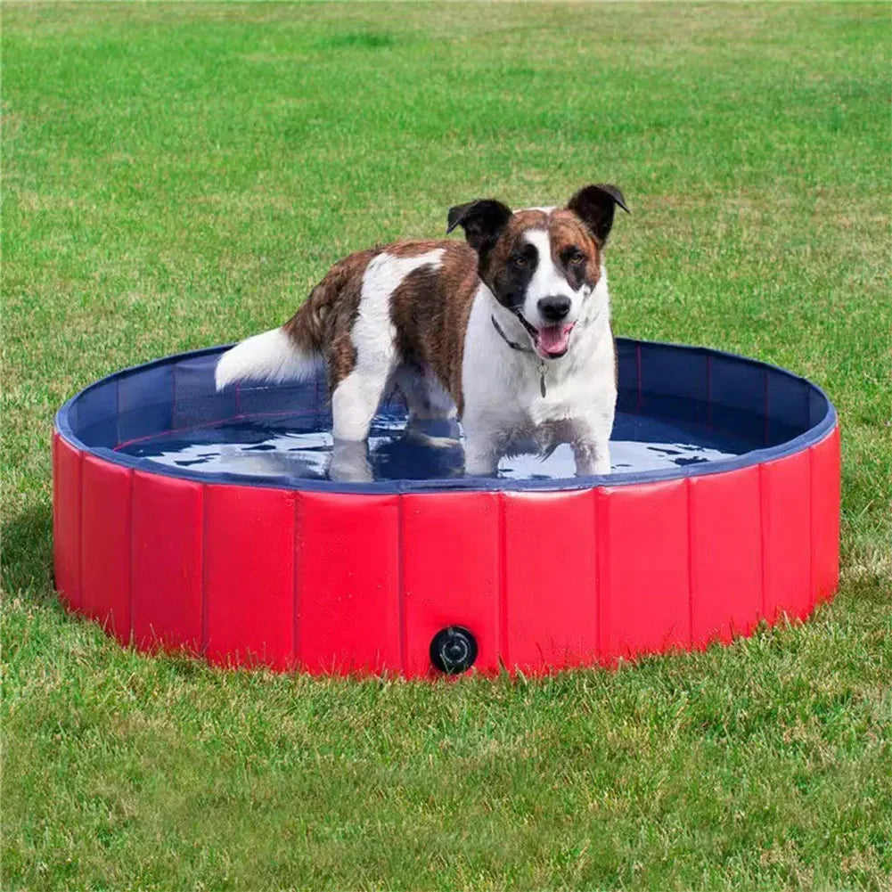 Piscina para Mascotas – Plegable, Portátil y Resistente para Perros y Gatos