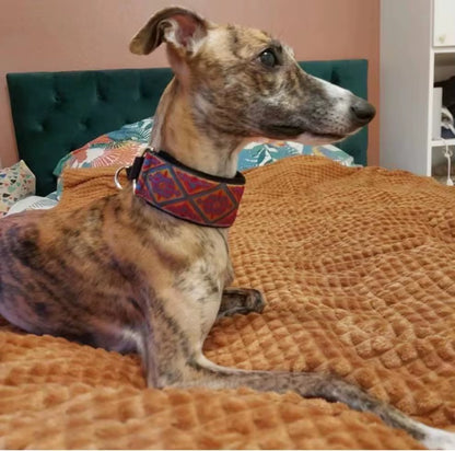 Collar Martingale para Galgos – Cómodo, Seguro y Diseño excludivo