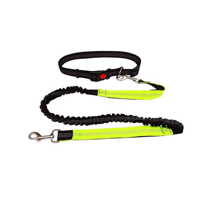 🏃‍♂️🐕 Correa Manos Libres para Perros – Ideal para Pasear, Correr o Hacer Senderismo
