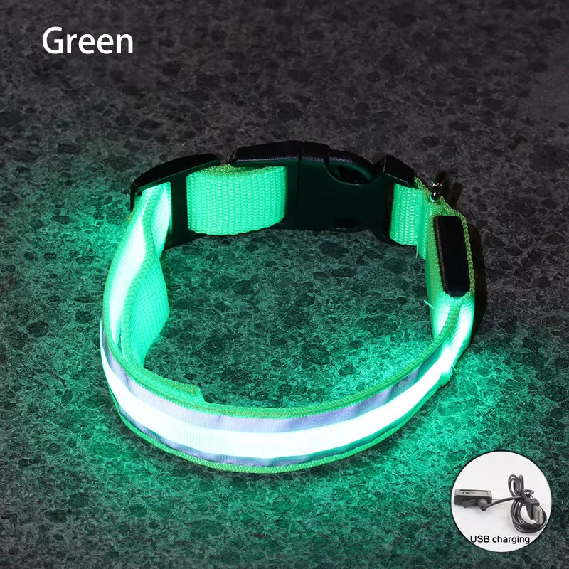 Collar LED Reflectante para Mascotas – Seguridad Nocturna Garantizada