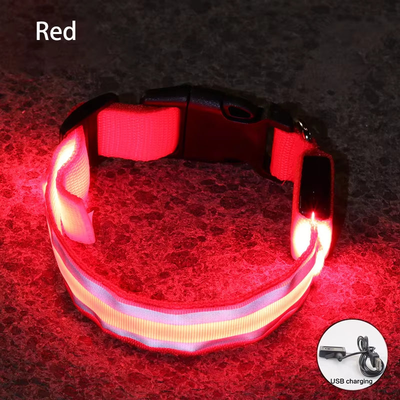 Collar LED Reflectante para Mascotas – Seguridad Nocturna Garantizada
