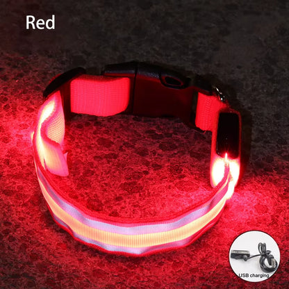 Collar LED Reflectante para Mascotas – Seguridad Nocturna Garantizada